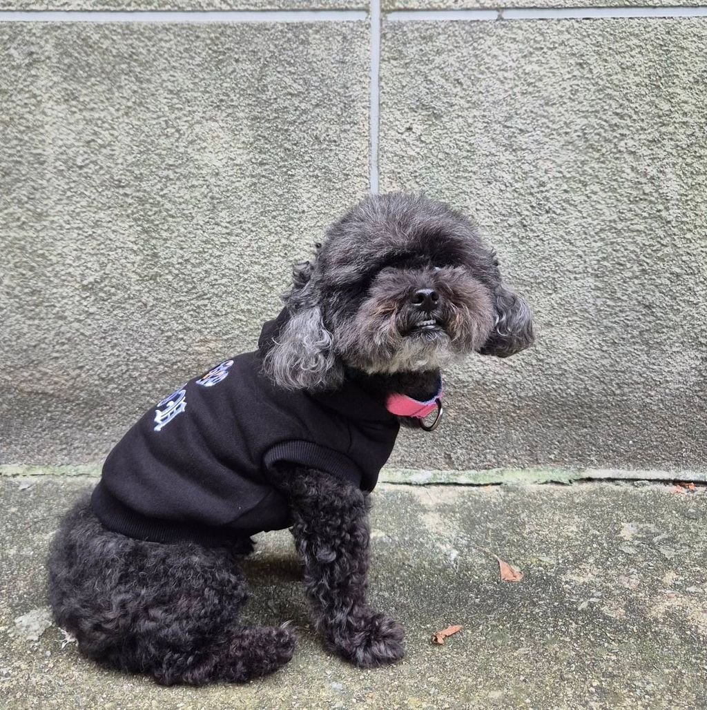 image_1B6700CE-67A0-46F5-A05E-2DE926490E35_1757907157