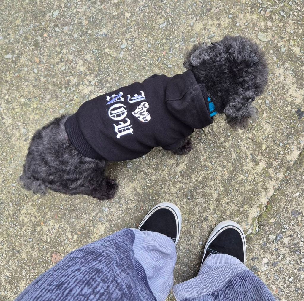 image_DFA51F38-DE1F-4D6C-987A-D1CB85CFF31B_1757907157