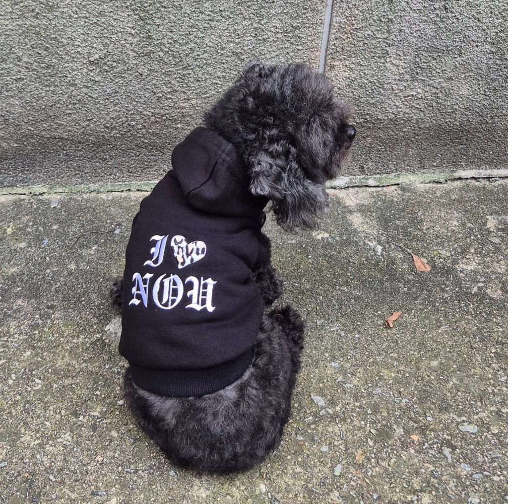 image_C1A7644F-2404-4E61-9BDF-08B93C26977E_1757907157