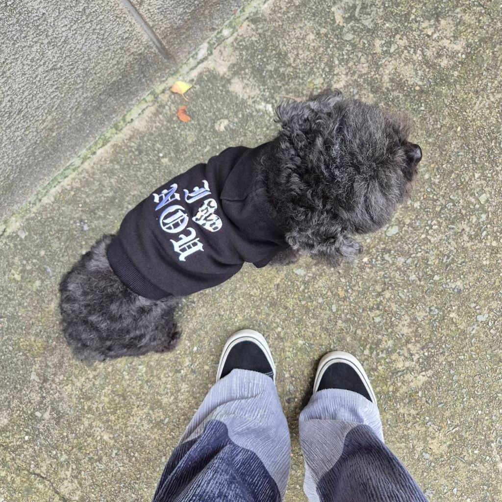 image_DA15941B-587C-4F19-84A9-F8AF426253C0_1757907157