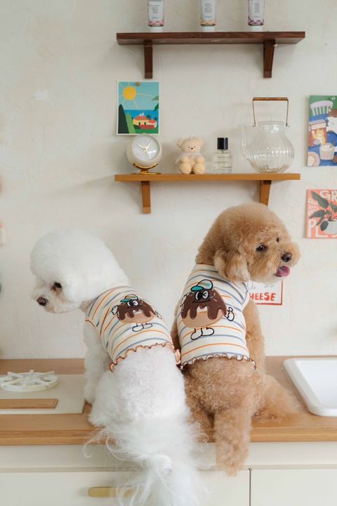 image_0865E56B-6B37-4E44-880C-44588C52AE1A_1758585678