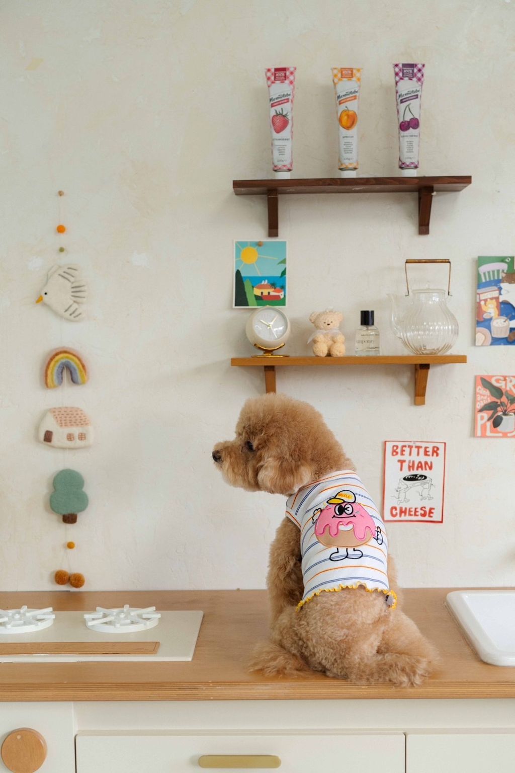 image_55BB896C-C5AA-4143-B6C4-85A91BDFB42C_1758585678