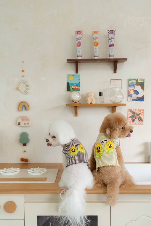 image_76E61C79-842A-4623-AB72-2B92C10F7102_1758585749