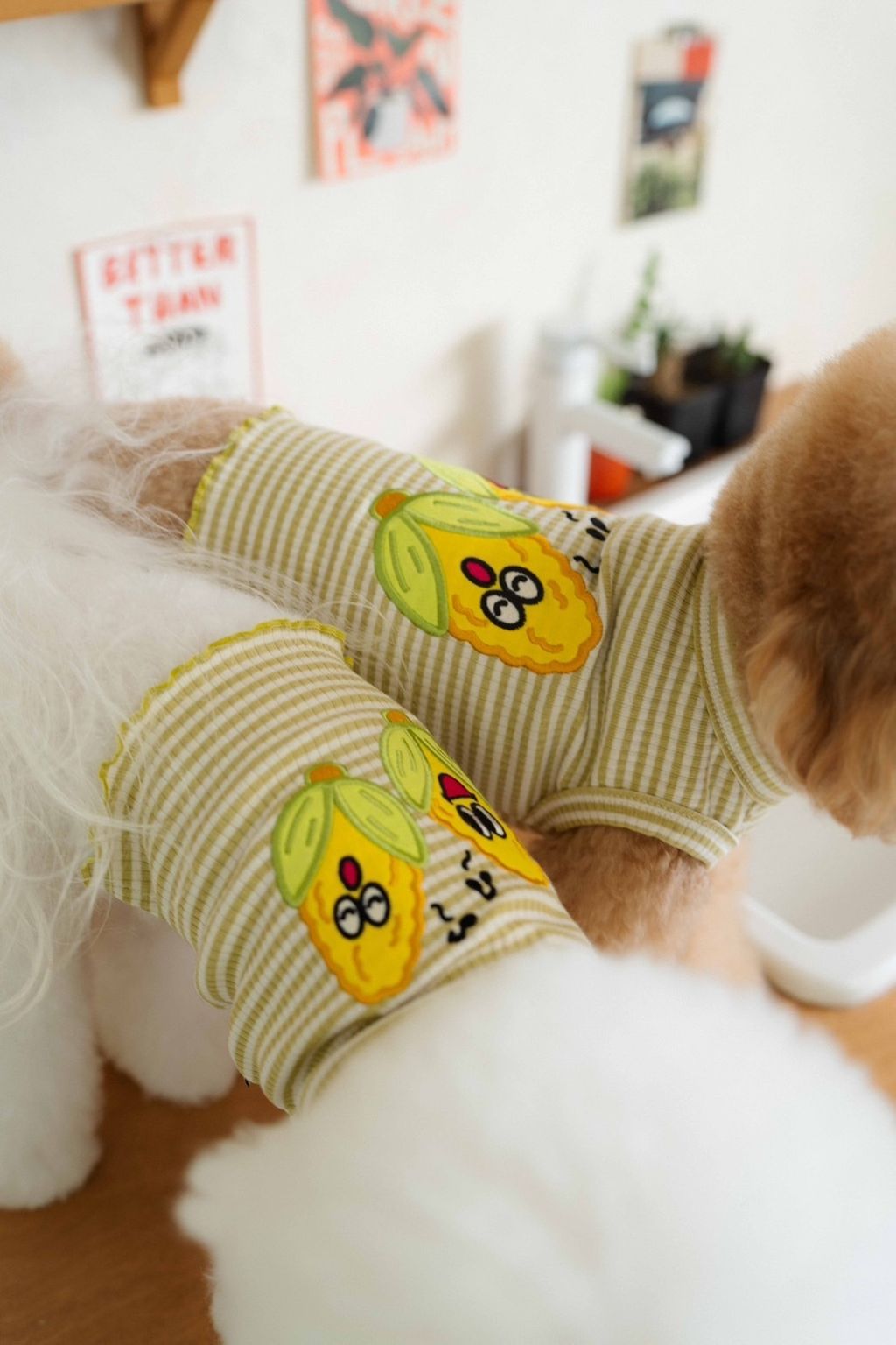 image_3DF2ABB8-470E-4E1D-9F51-0CAF63ABAD28_1758585749