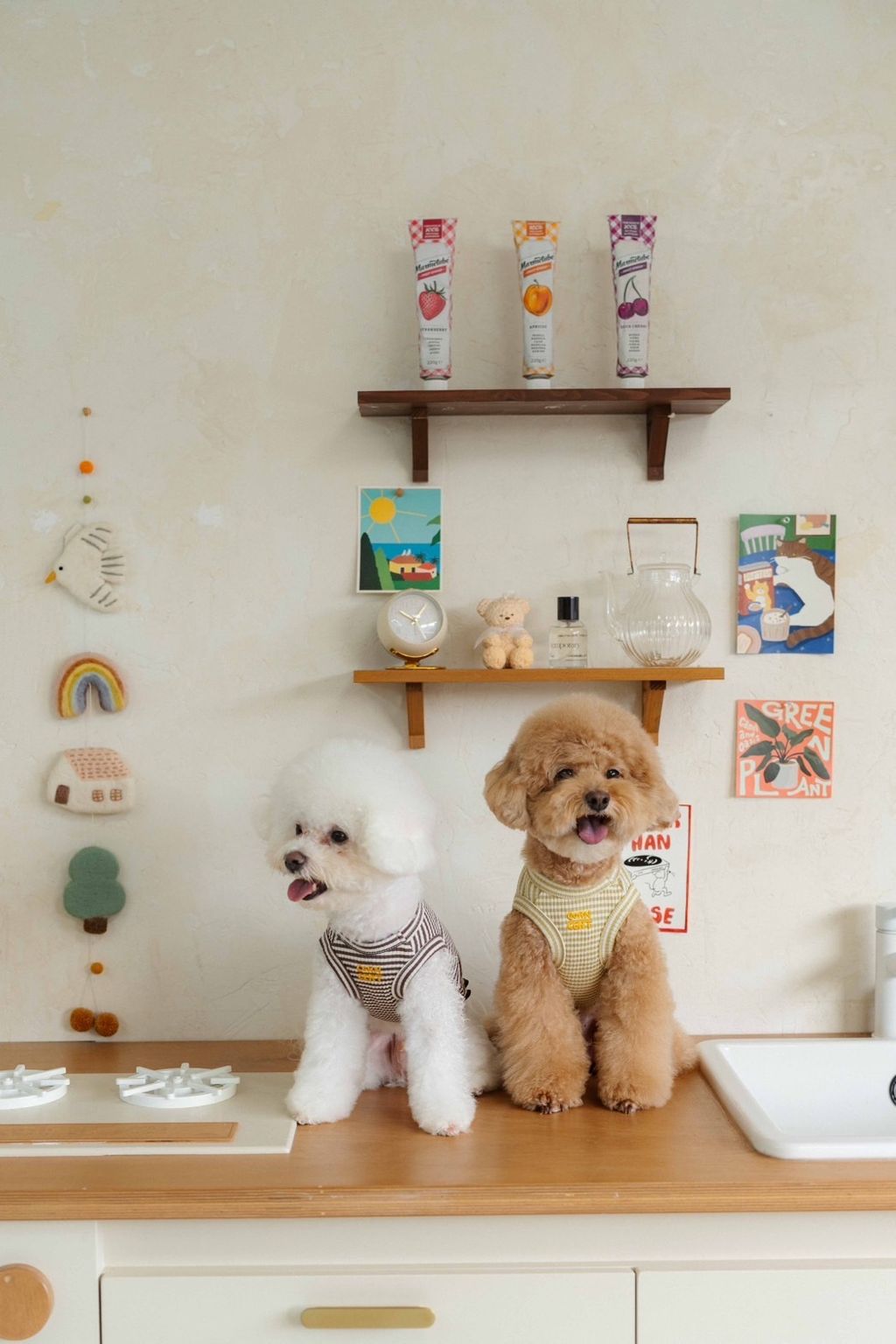 image_6DA50459-4491-478F-BAA9-C06E38C6DCB1_1758585749