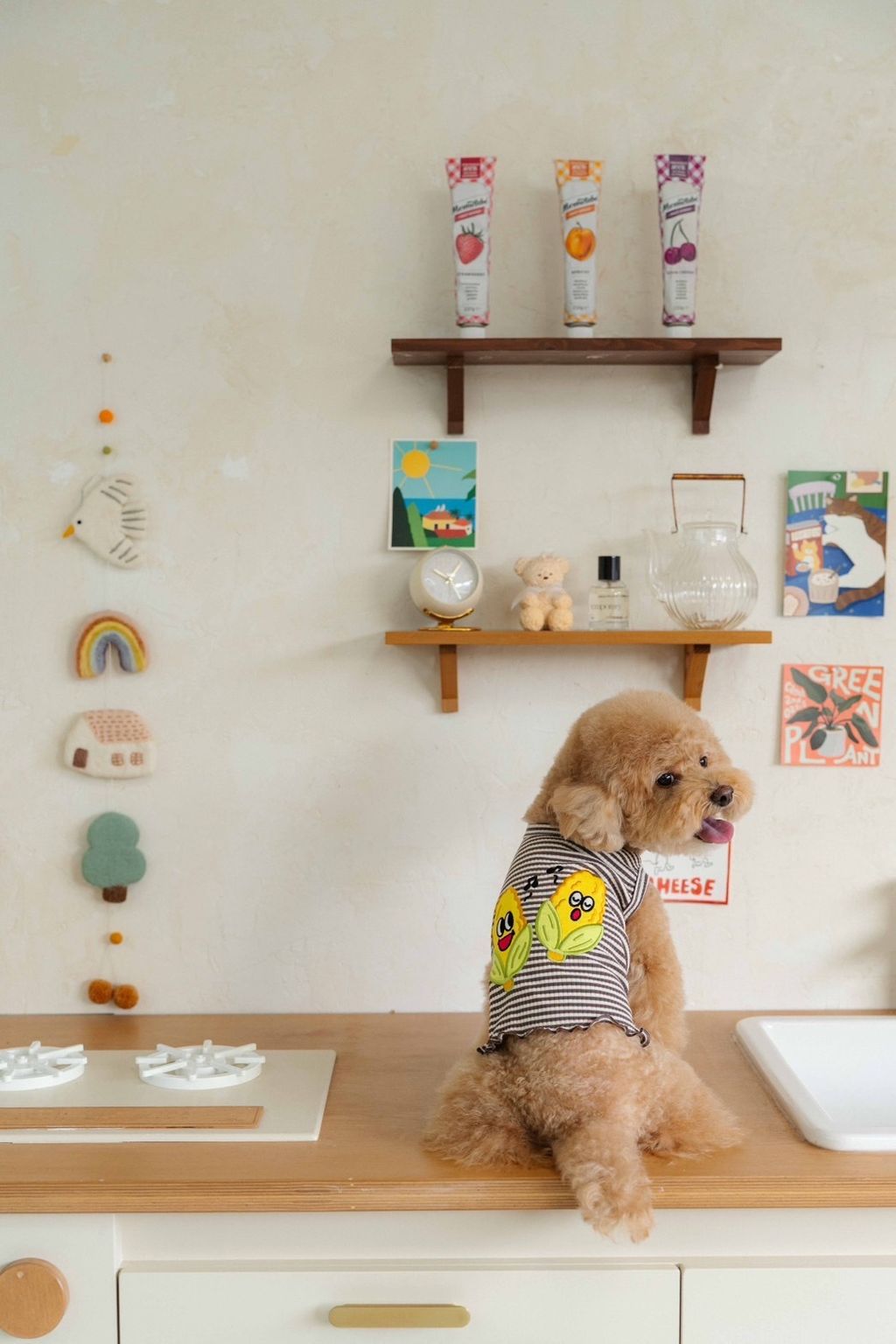 image_658367D9-FBE0-45F0-9851-BE519DE74CDA_1758585749