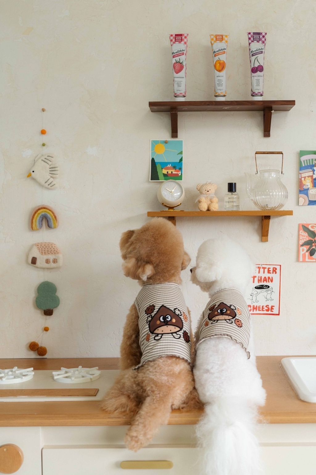 image_3F317CFD-8EE1-43CA-8E87-4D1C14DA1219_1758585809