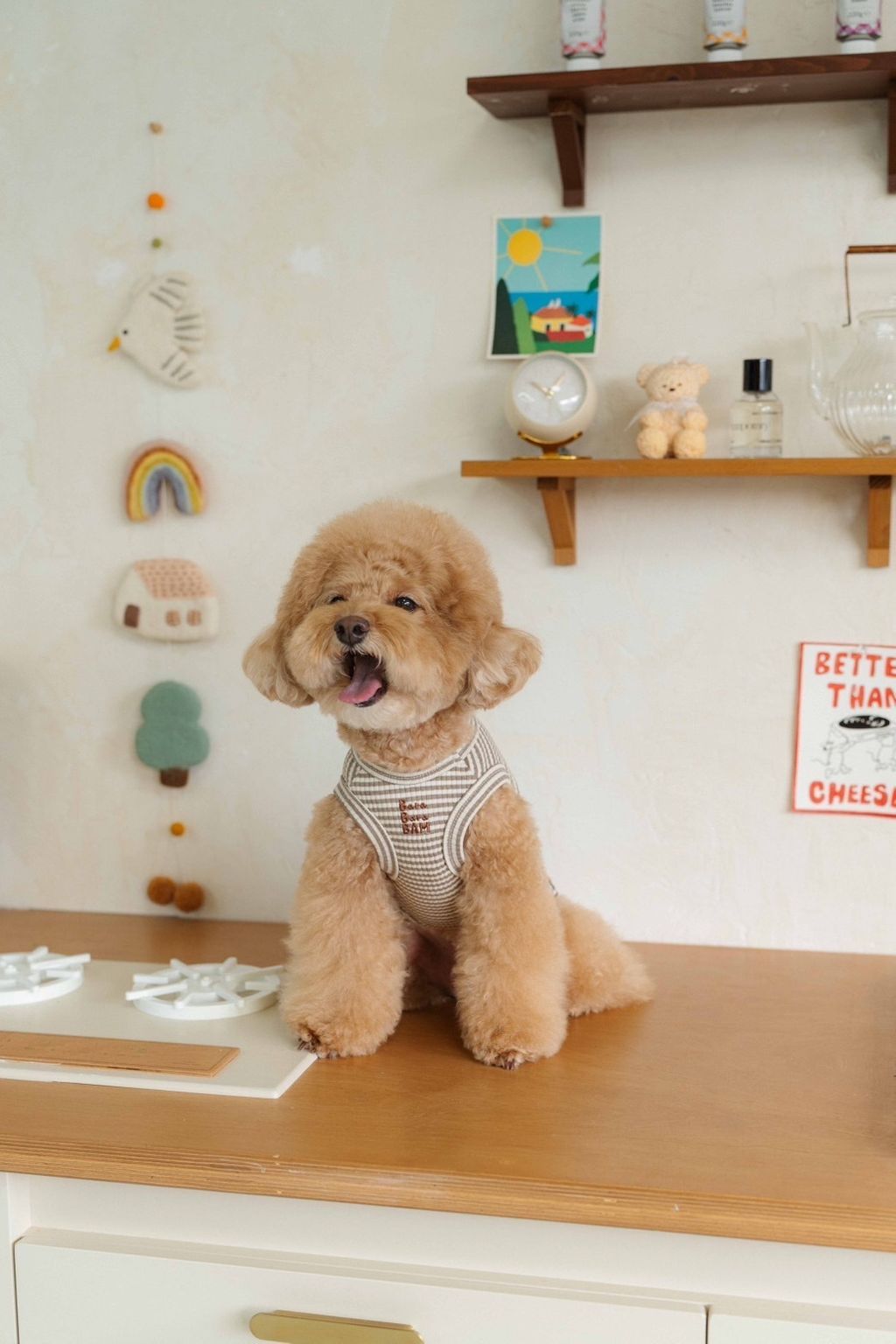 image_50E30B69-FC6D-4102-AE30-206DF316EE29_1758585809