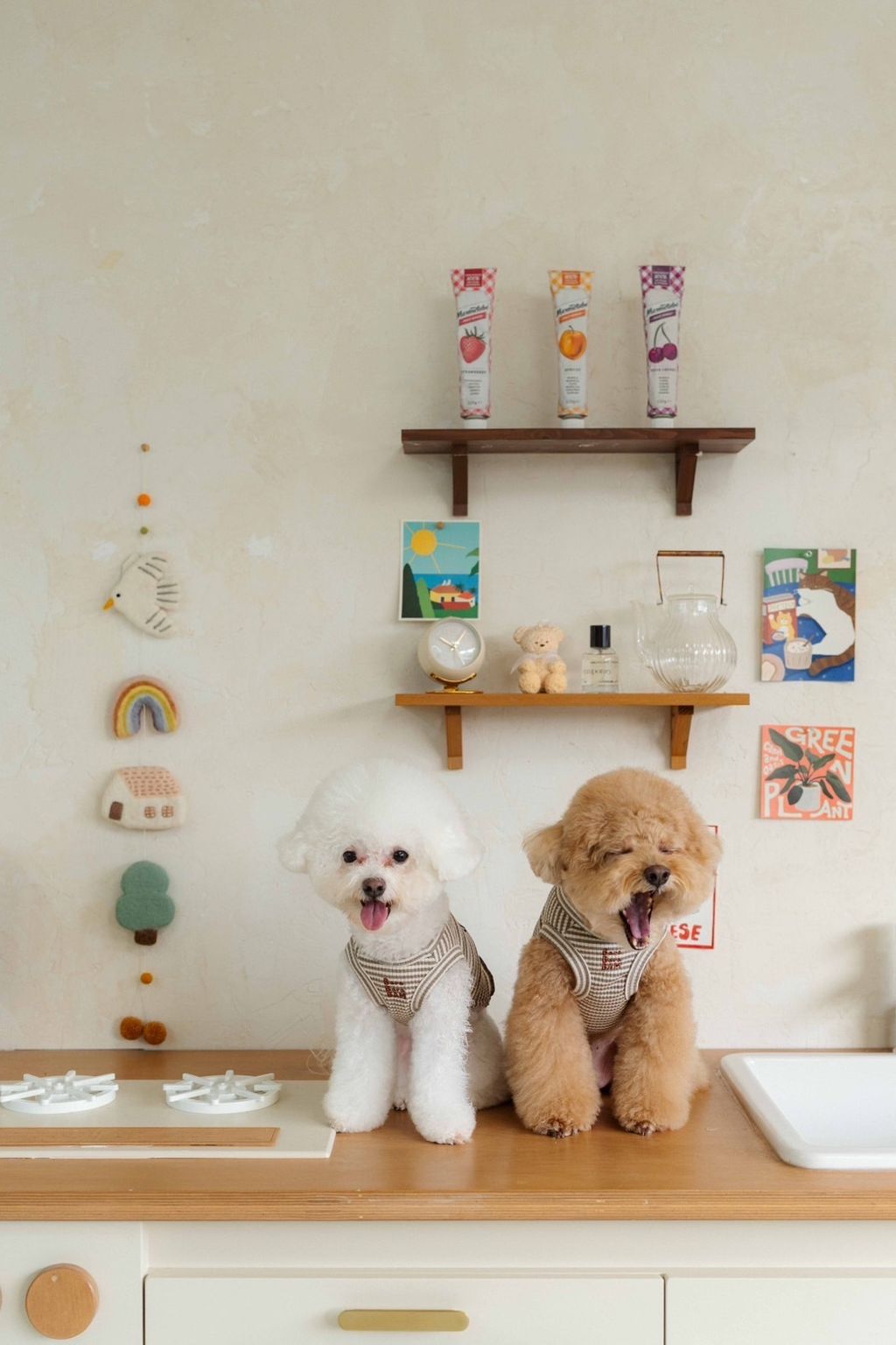 image_D8D85C68-B30A-4368-9BAC-30064176602E_1758585809