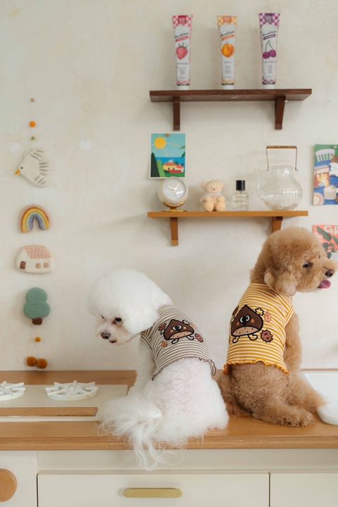 image_8036A11D-1974-4EF2-A909-E6615262105E_1758585809