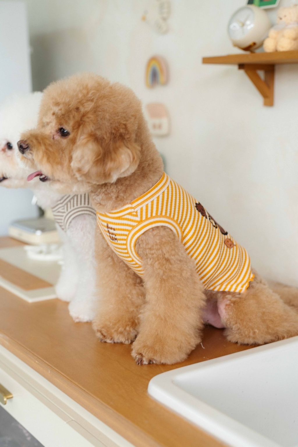 image_52B48625-0259-4B0E-9376-70D0AE513502_1758585809