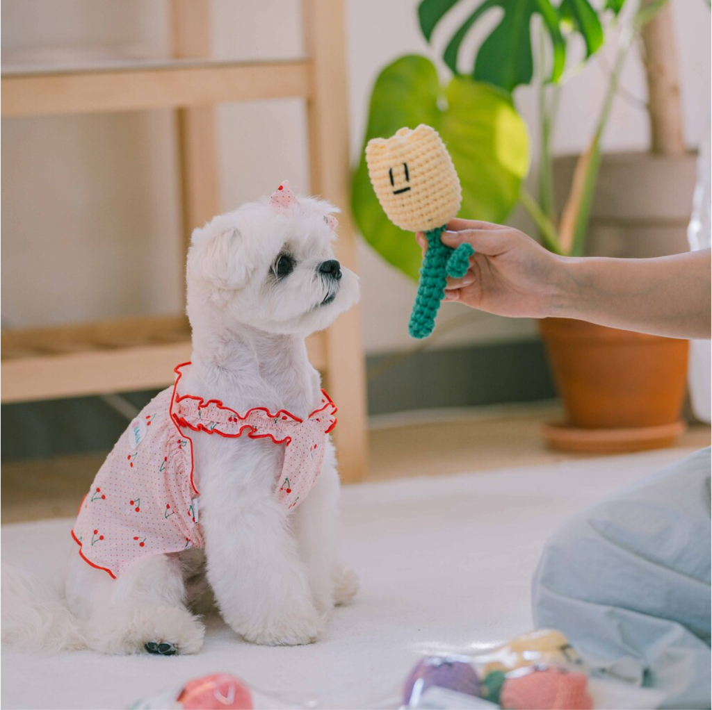 截圖 2025-09-26 下午1.36.40