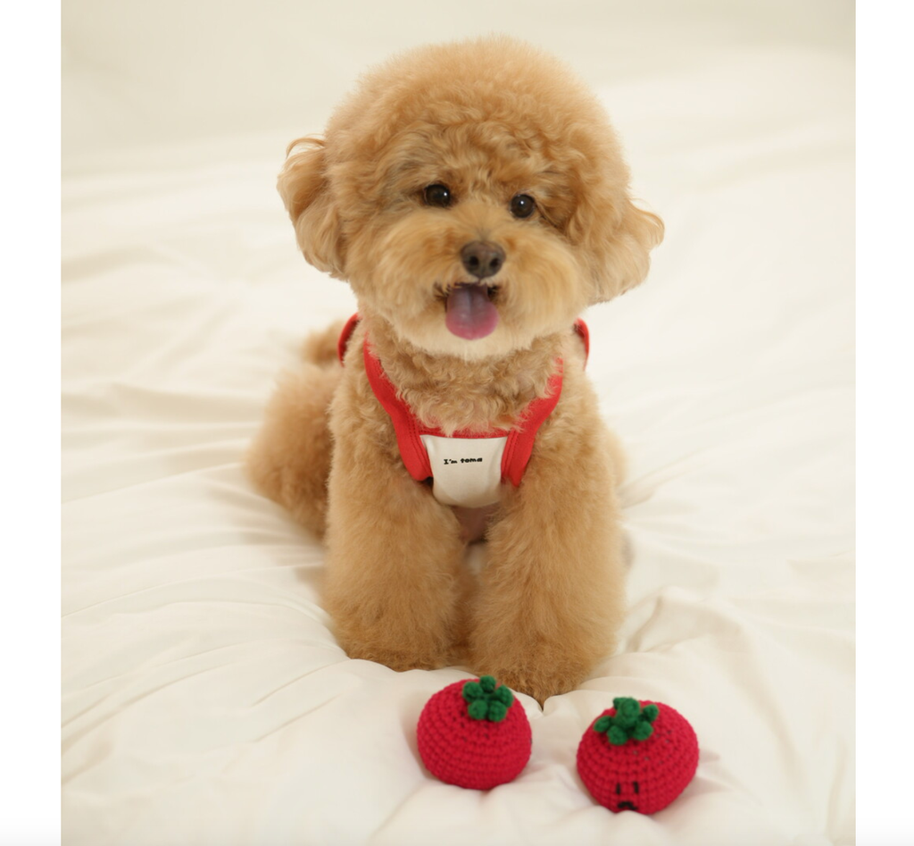 截圖 2025-09-26 下午2.34.48