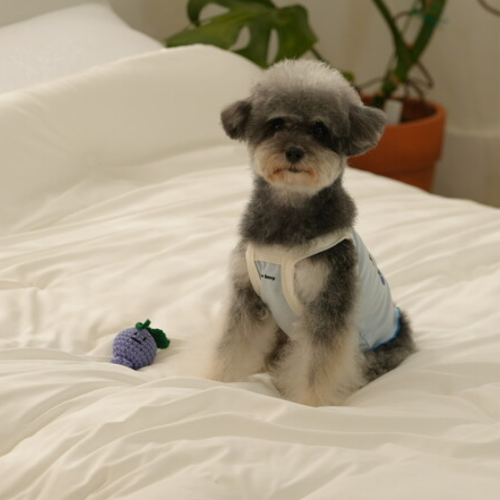 截圖 2025-09-26 下午2.45.55