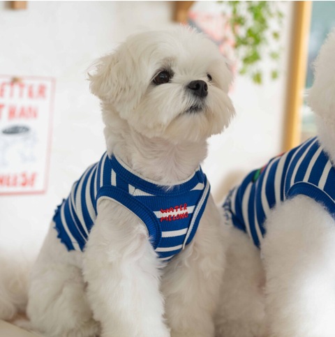 截圖 2025-09-26 下午3.52.02