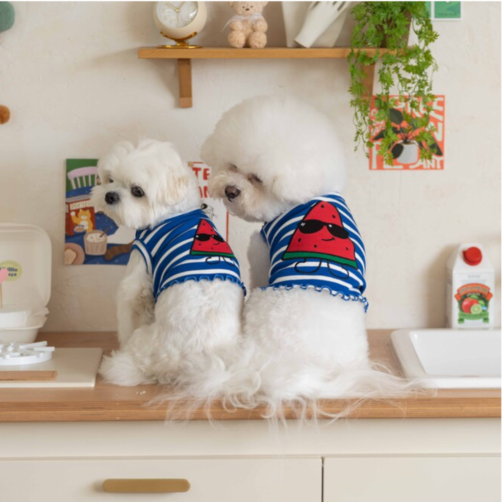 截圖 2025-09-26 下午3.51.48