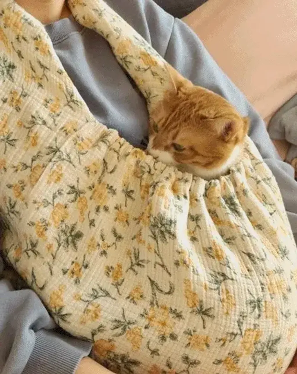 imgi_4_5d002a3040ccfe02ab8ae5729705eb63