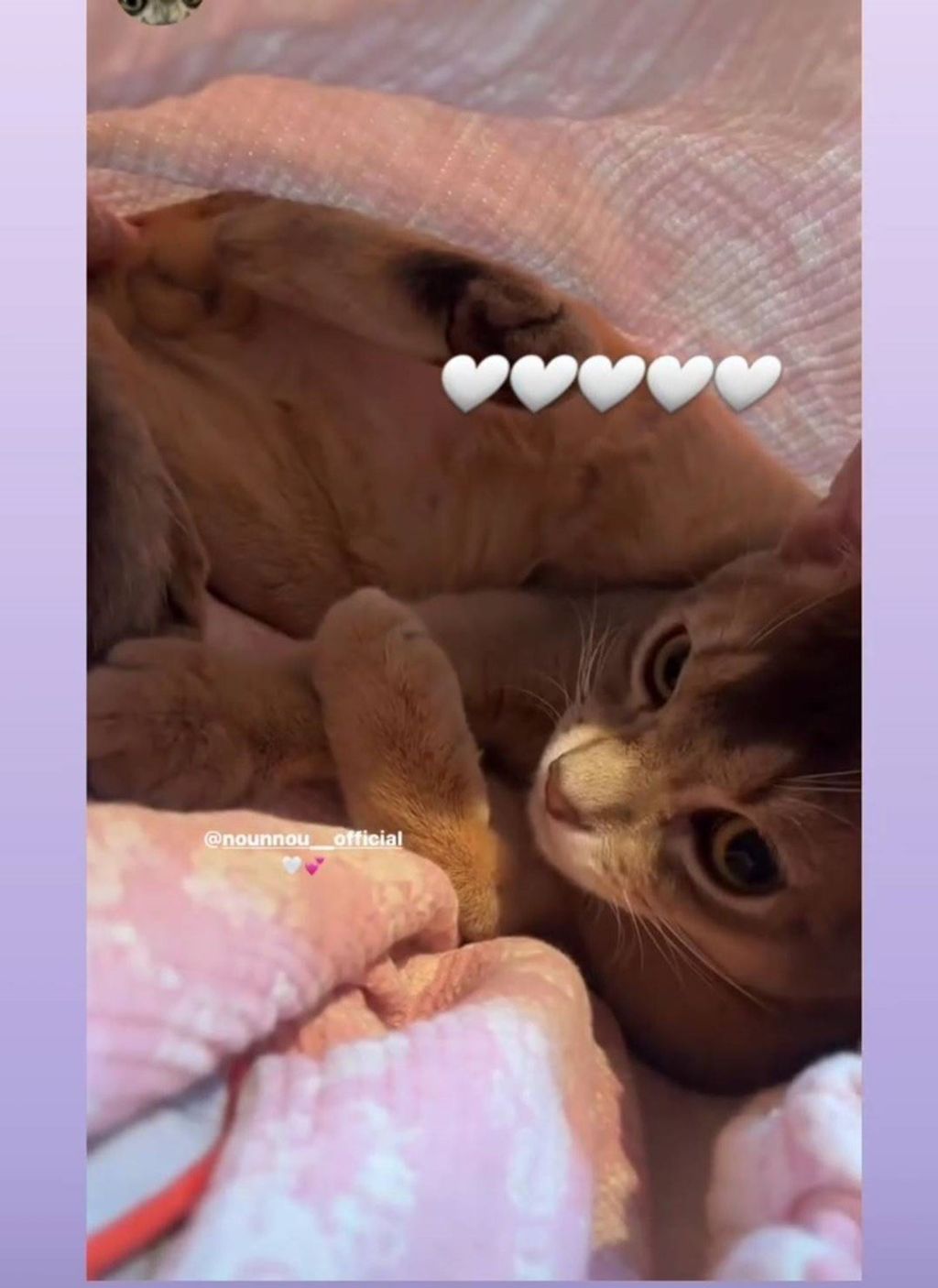 imgi_18_Screenshot_20240130_140449_Instagram