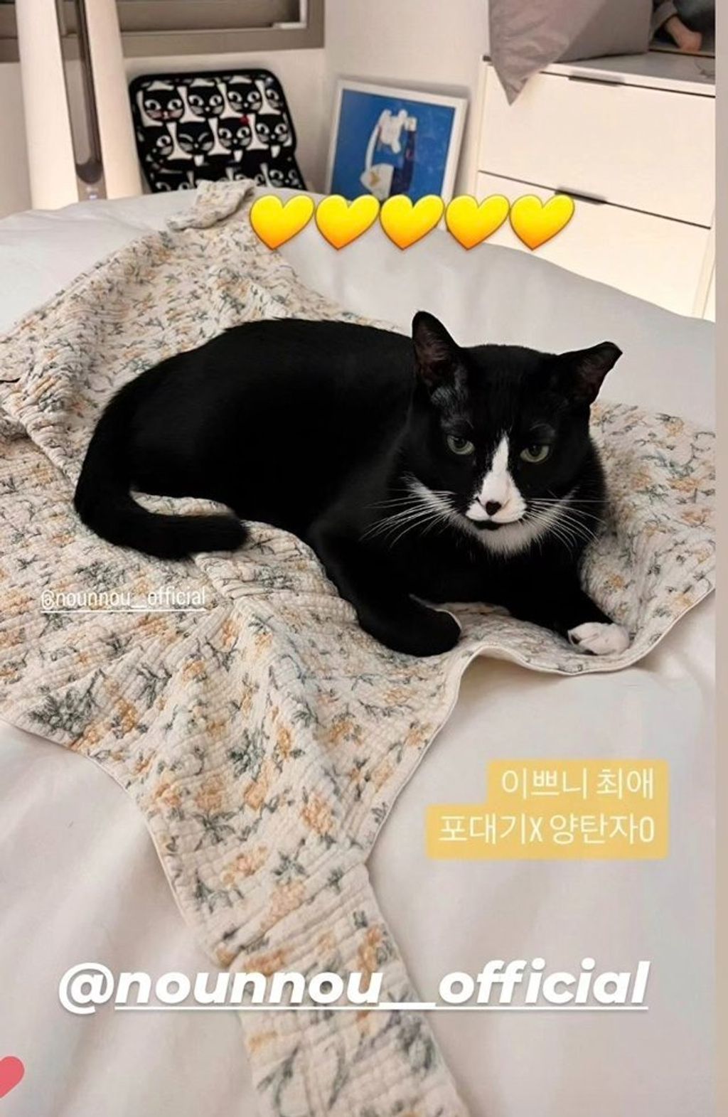 imgi_22_KakaoTalk_20240417_193420531_05