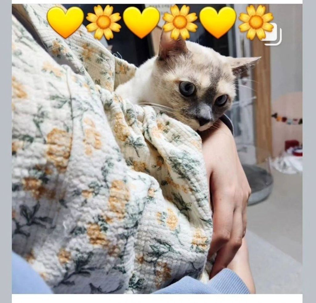 imgi_19_Screenshot_20240130_140459_Instagram