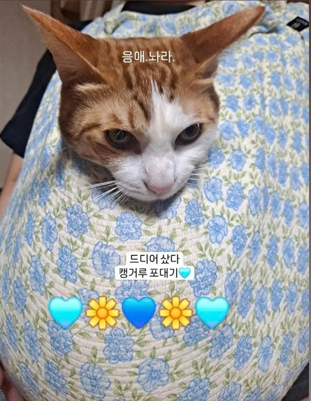 imgi_21_KakaoTalk_20240417_193420531_04