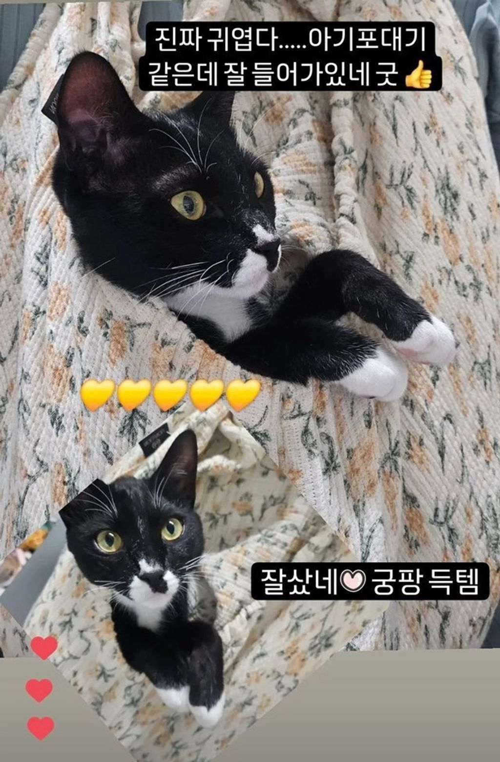 imgi_23_KakaoTalk_20240417_193420531_02