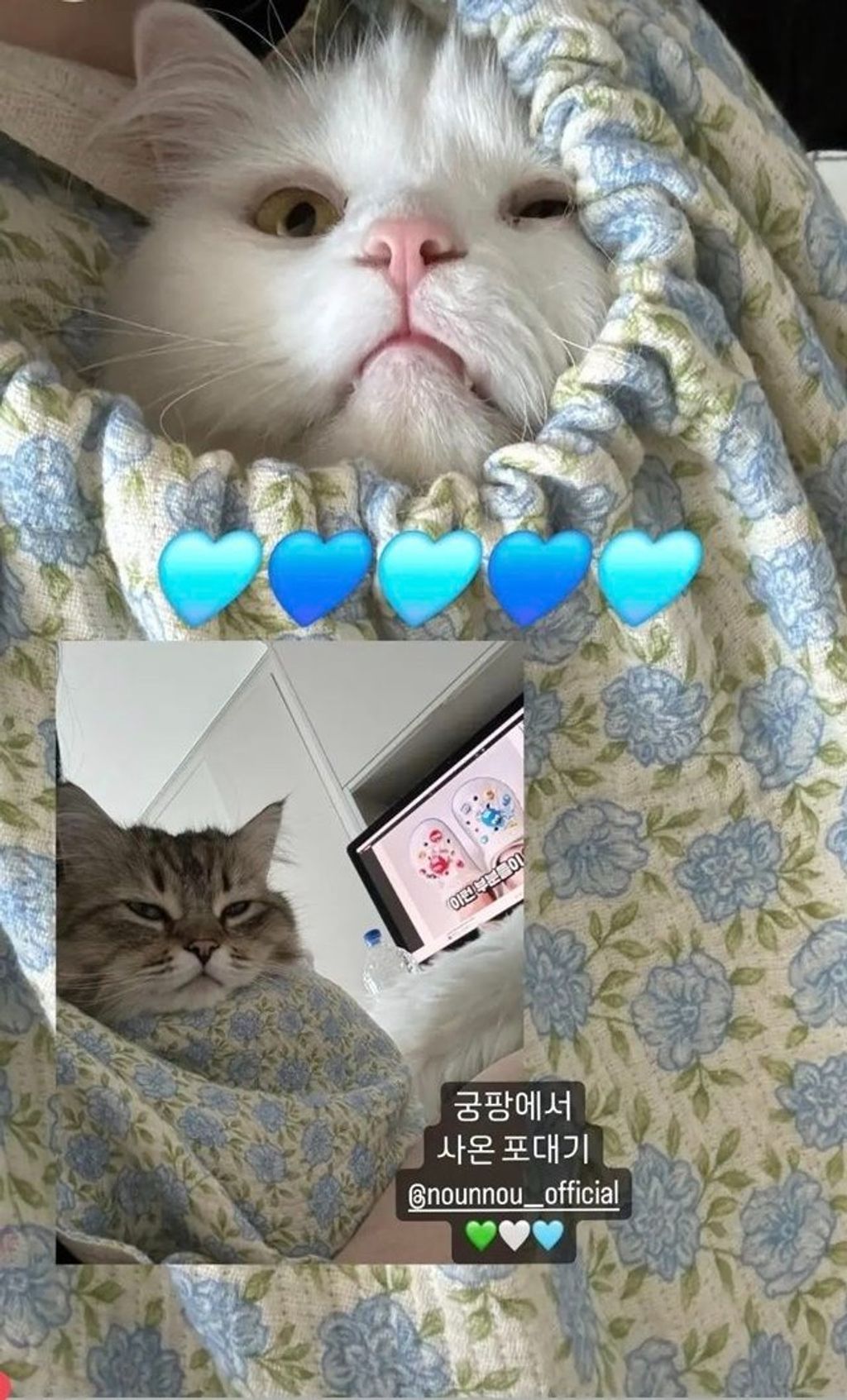 imgi_20_KakaoTalk_20240417_193420531_03