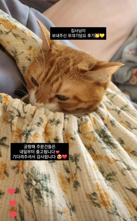 imgi_15_Screenshot_20240130_140502_Instagram