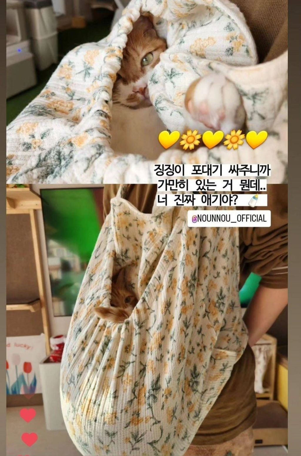 imgi_17_Screenshot_20240130_140453_Instagram