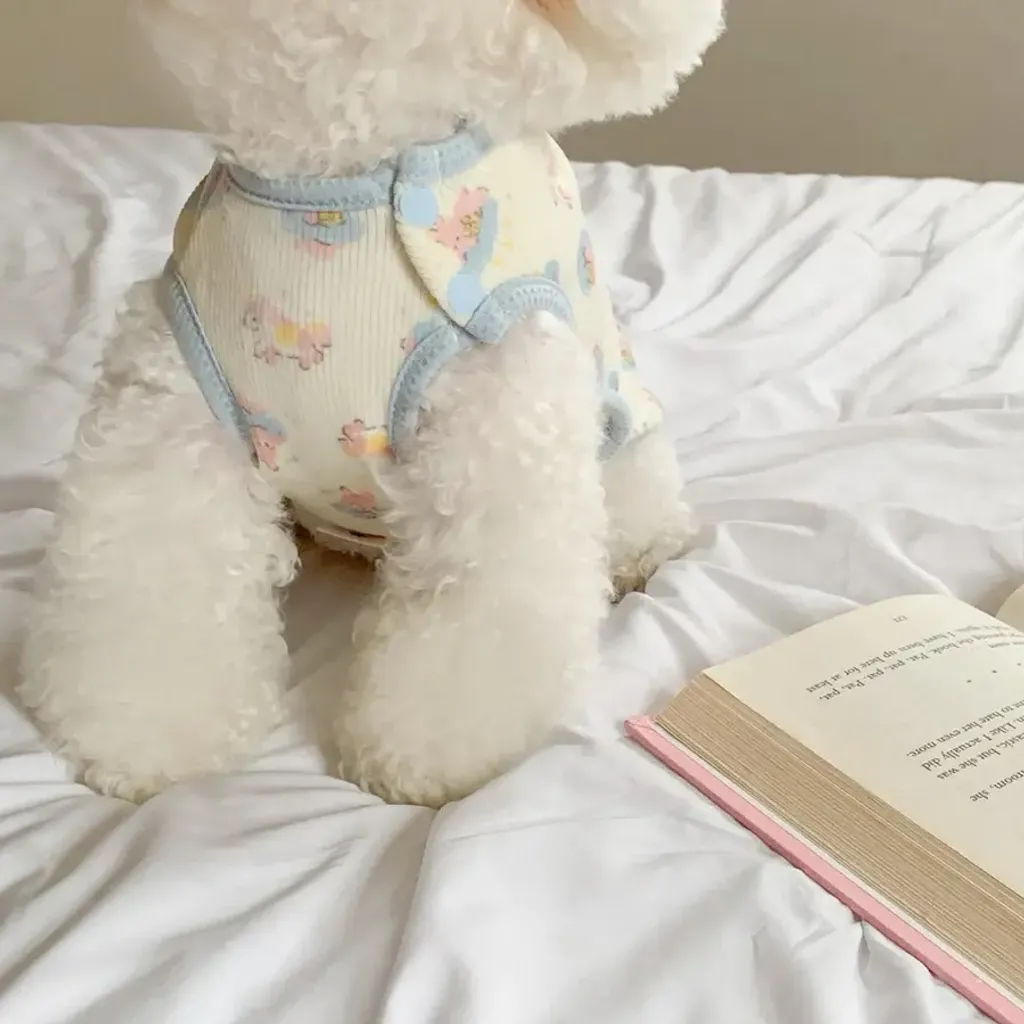 tw-11134207-81ztm-mfxkidj5snpo73@resize_w900_nl