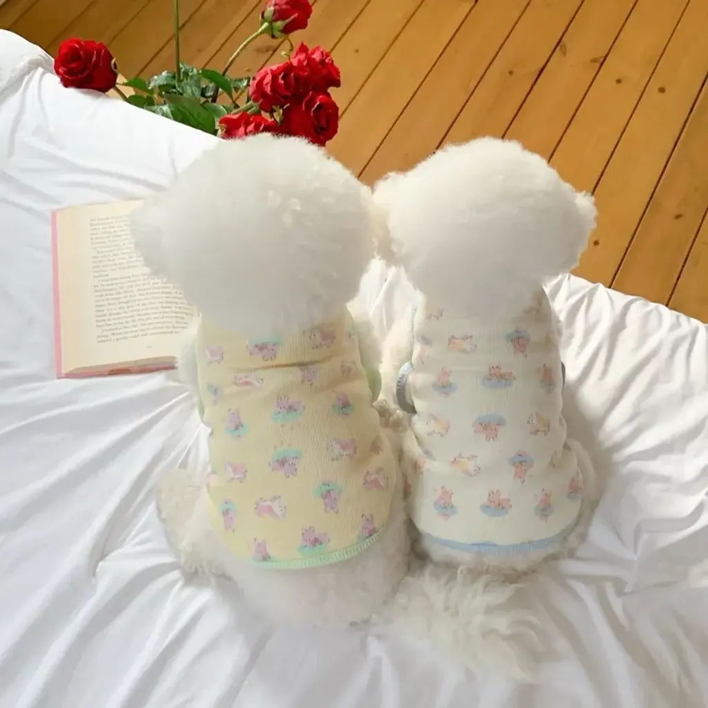 tw-11134207-81ztk-mfxkidjdr7kaa3@resize_w900_nl