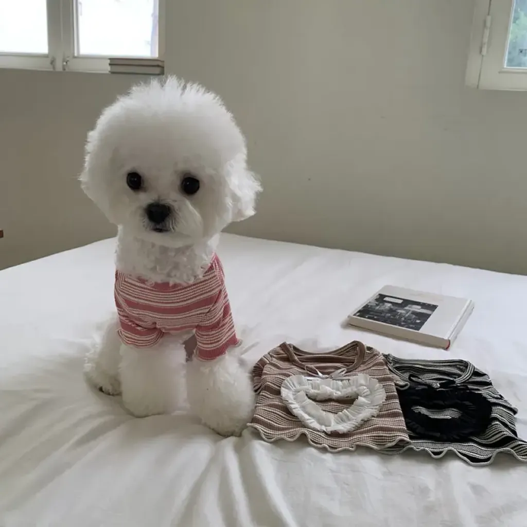 tw-11134207-81ztg-mgd13ckqiqdl4b@resize_w900_nl