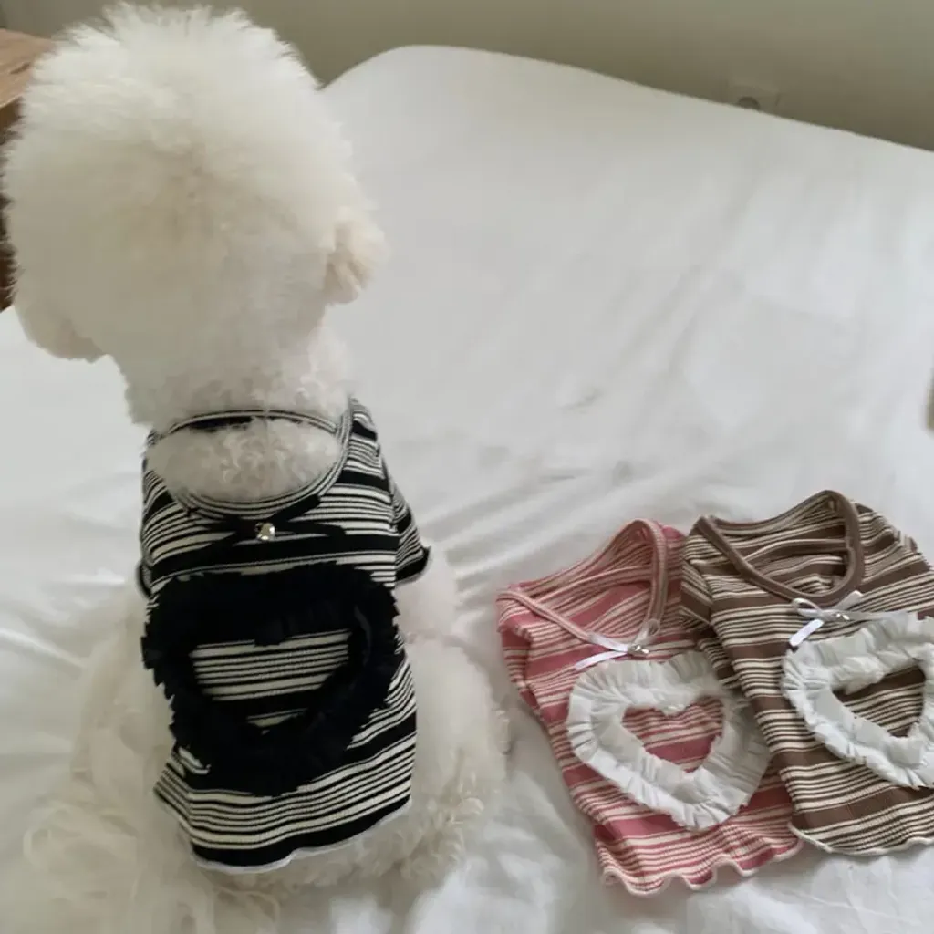 tw-11134207-81ztf-mgd13ckwluz23d@resize_w900_nl