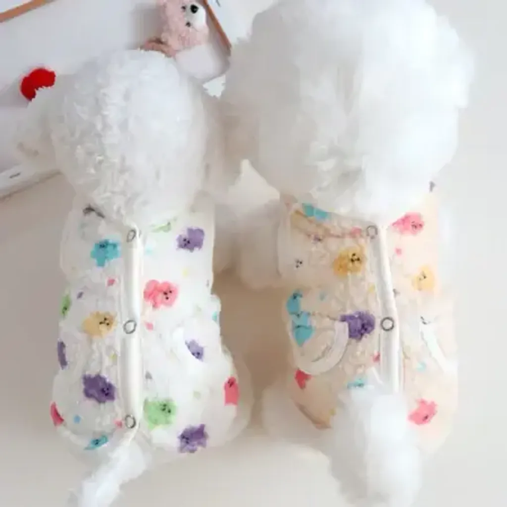 tw-11134207-7ras8-m28j66dstrfec9@resize_w450_nl