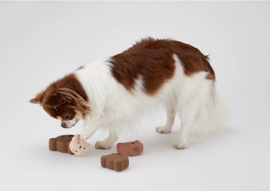 라텍스삑삑이(곰세마리)_01