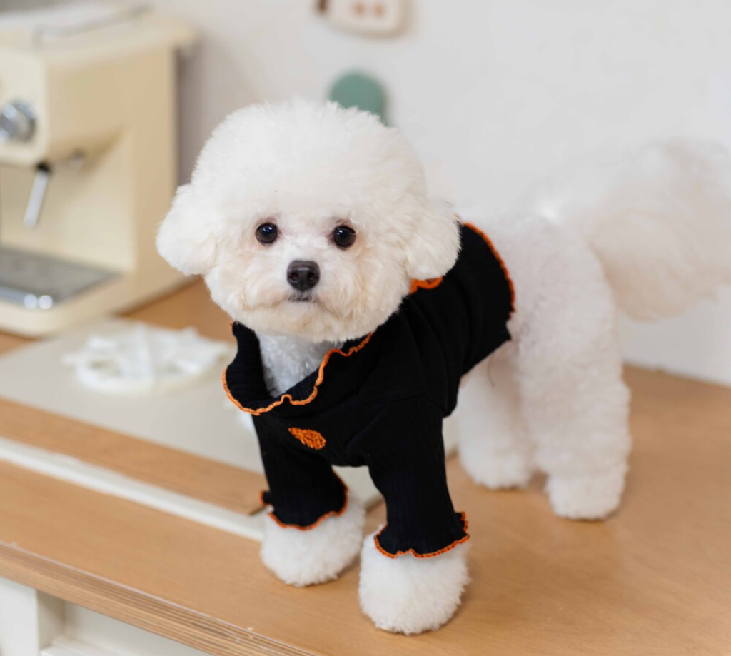 截圖 2025-12-30 下午4.55.36