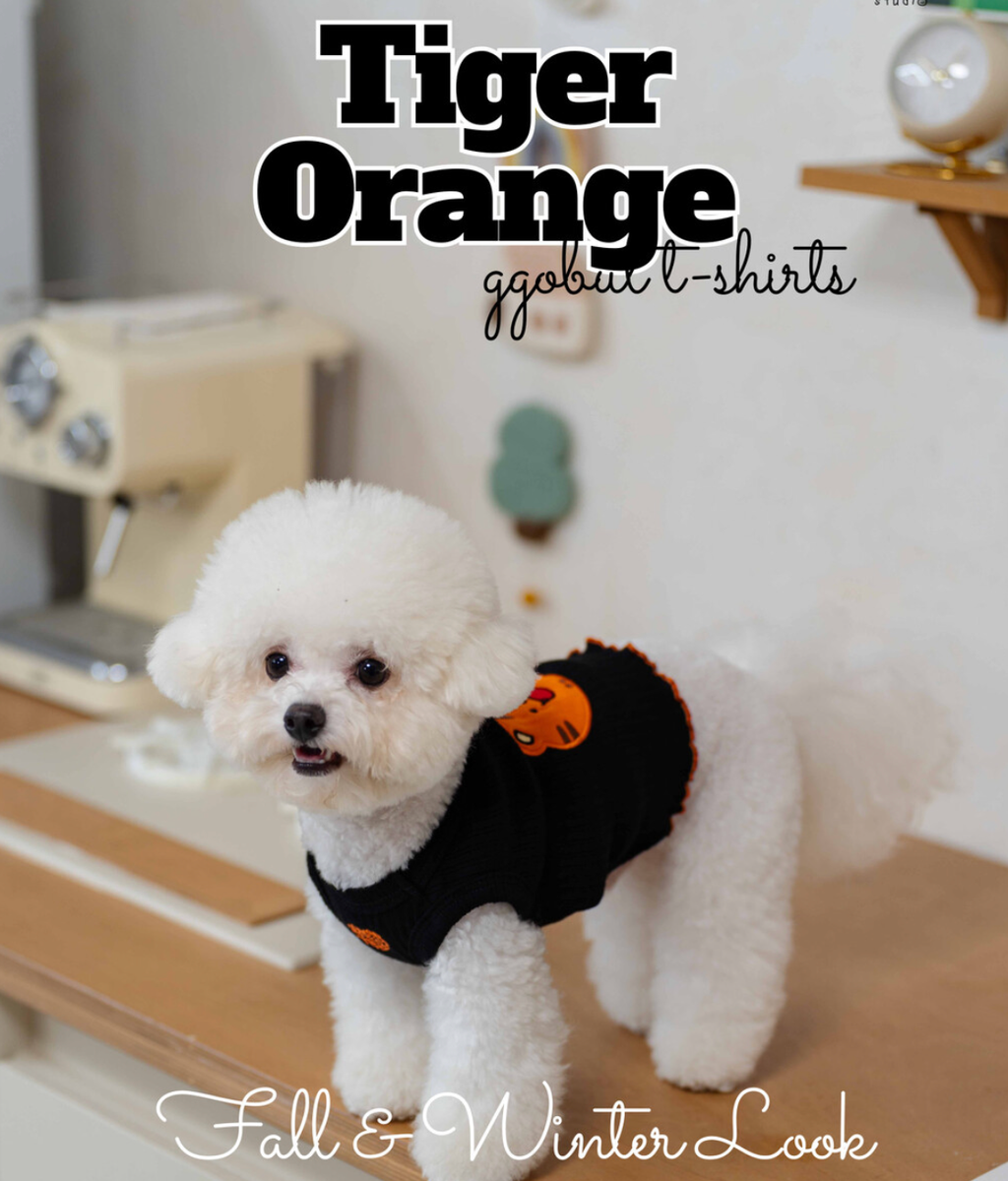 截圖 2025-12-30 下午5.02.48