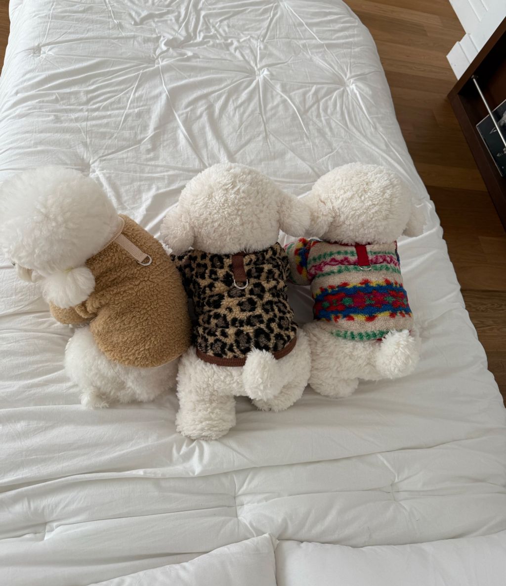 02d0db588fe5d287e3e0436cf2e5bfe8