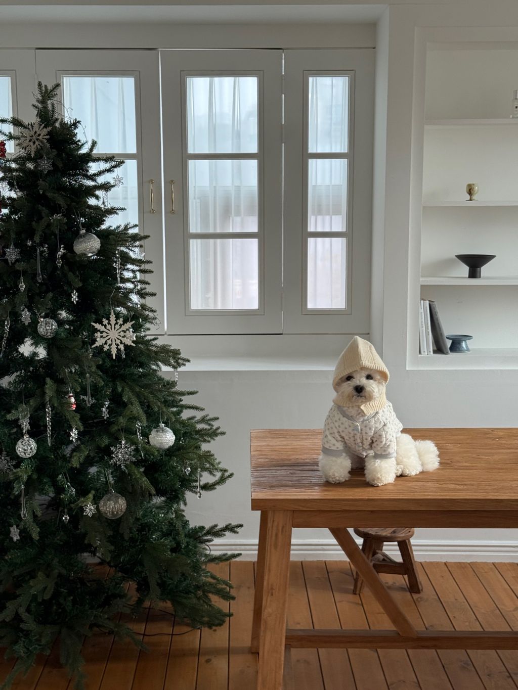 e2e030901f16a90a36144c8f530eaa50