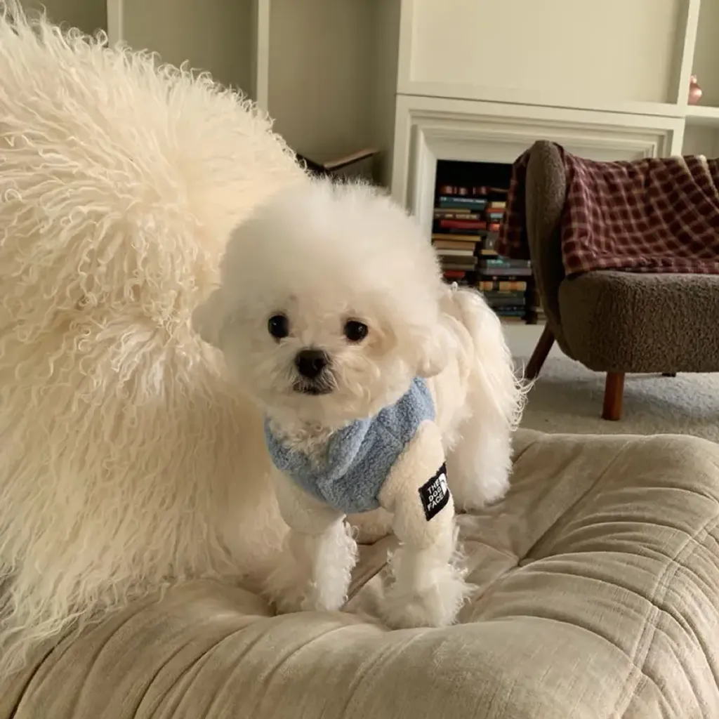 tw-11134207-81ztn-mjiy061ynbic1b@resize_w900_nl