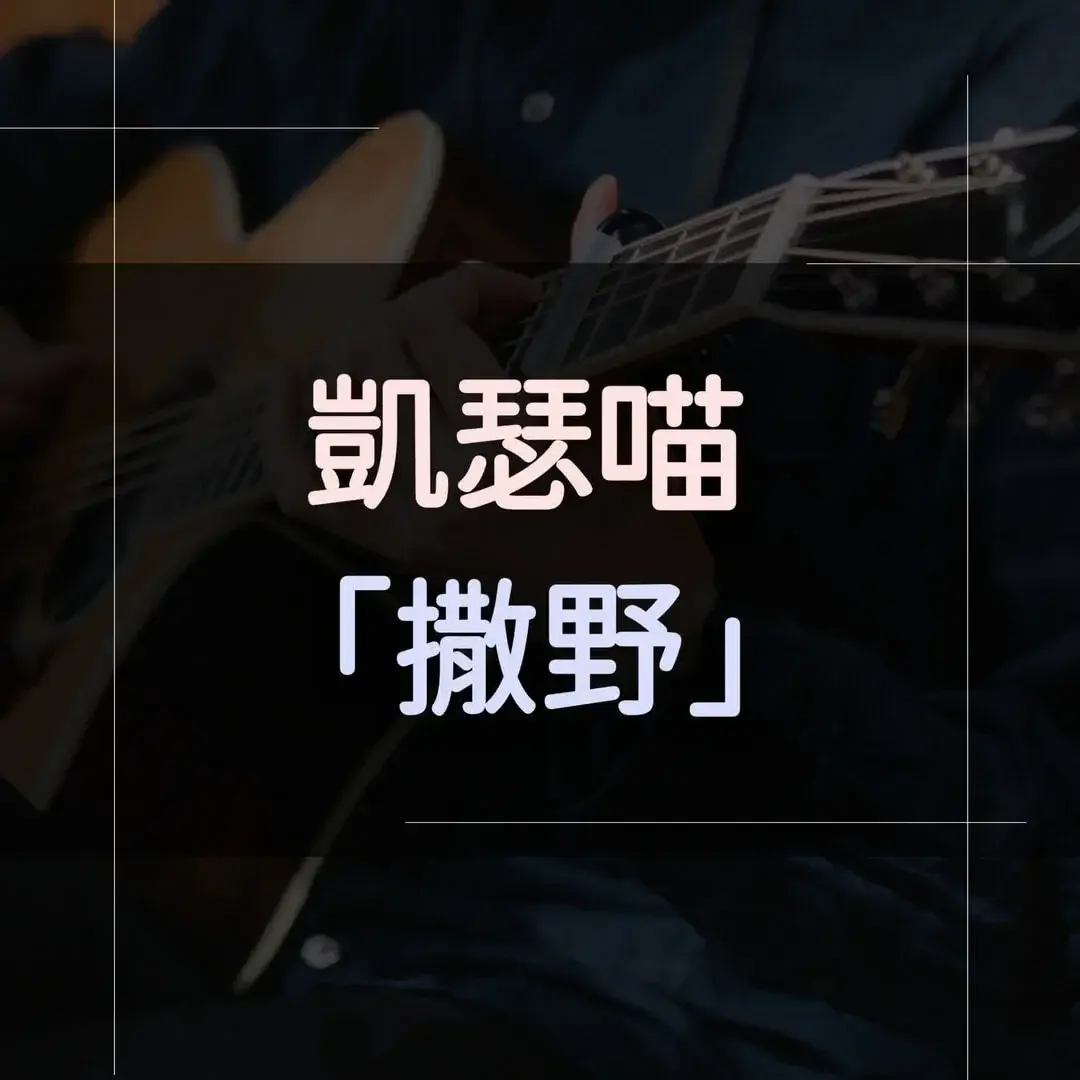 指彈吉他譜 - 撒野，凱瑟喵