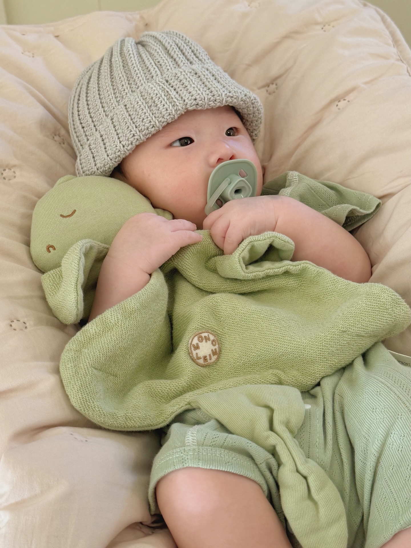 monoleim_3825533792765430873's2026-3-5-12.20.756 story