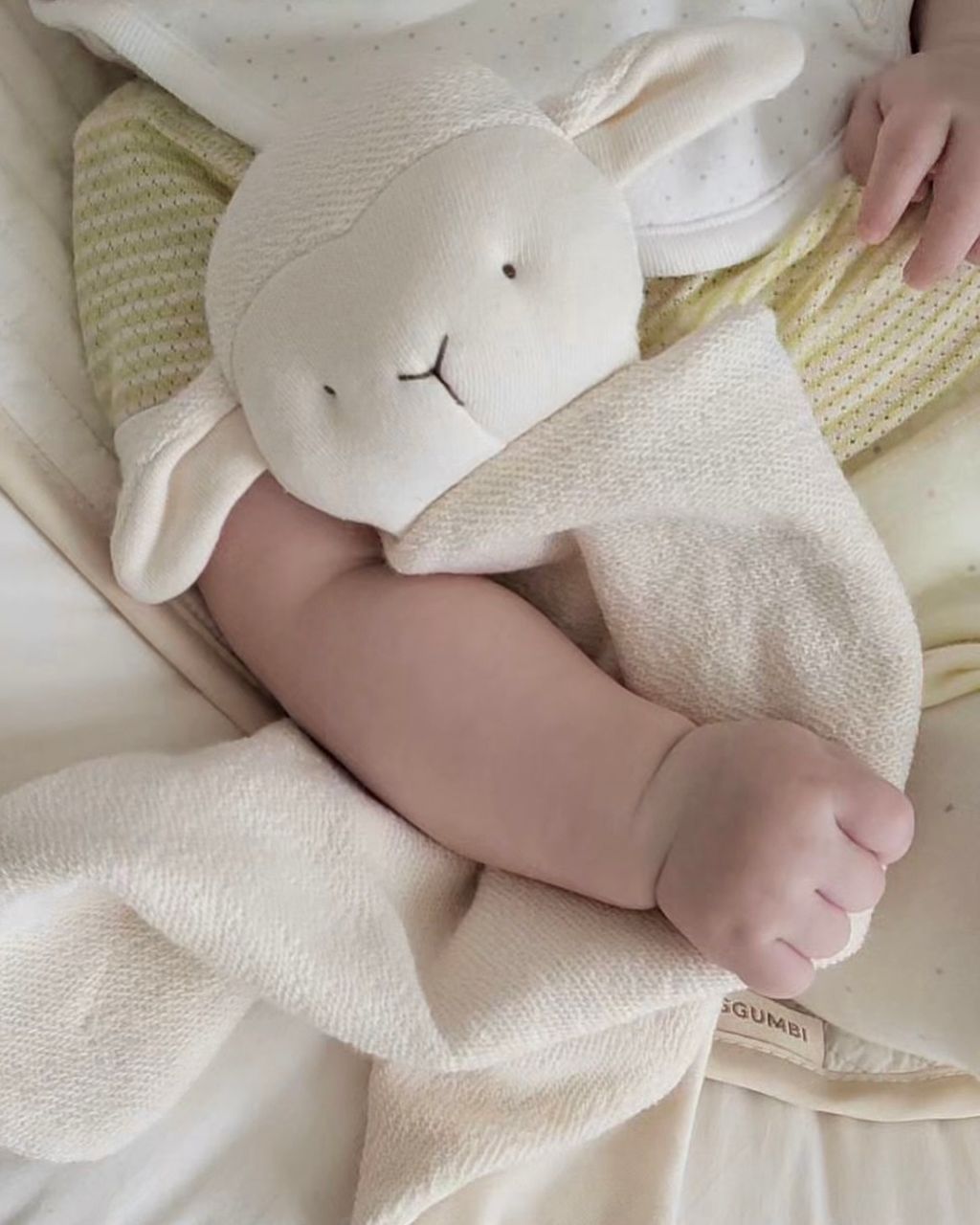 monoleim_3813917641681786198's2026-3-5-12.21.153 story