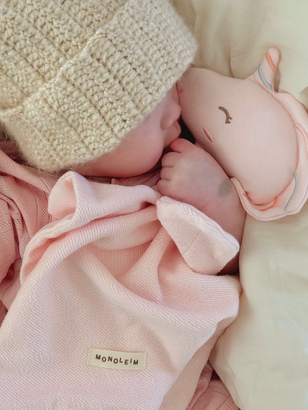 monoleim_3825533789418363334's2026-3-5-12.20.664 story