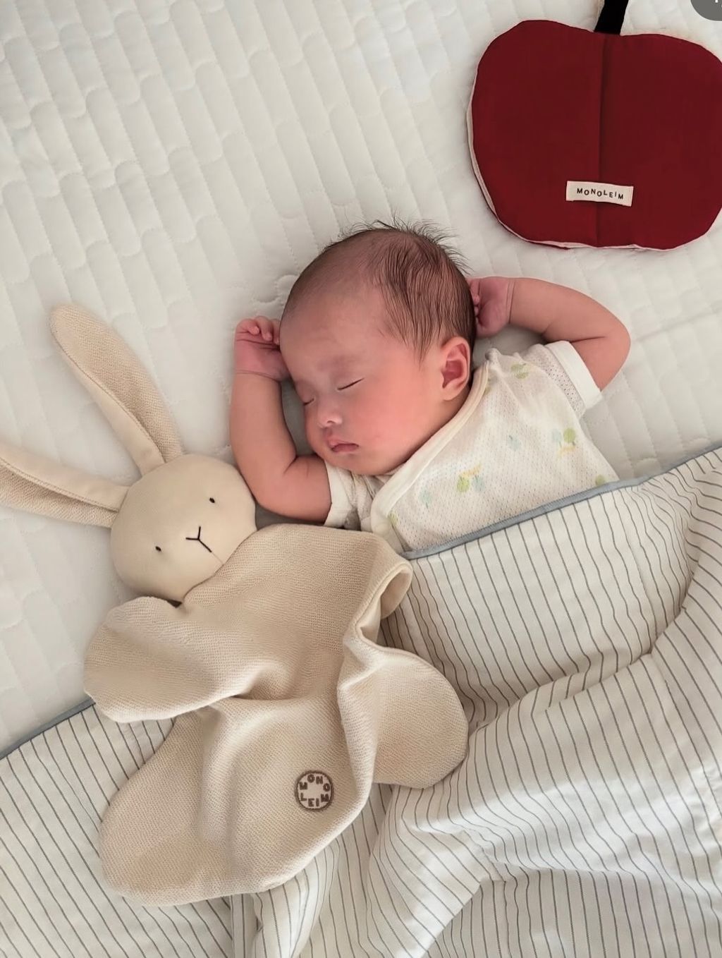 monoleim_3763891639879360876's2026-3-5-13.48.625 story