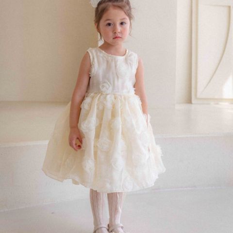 1774905967_5094058791