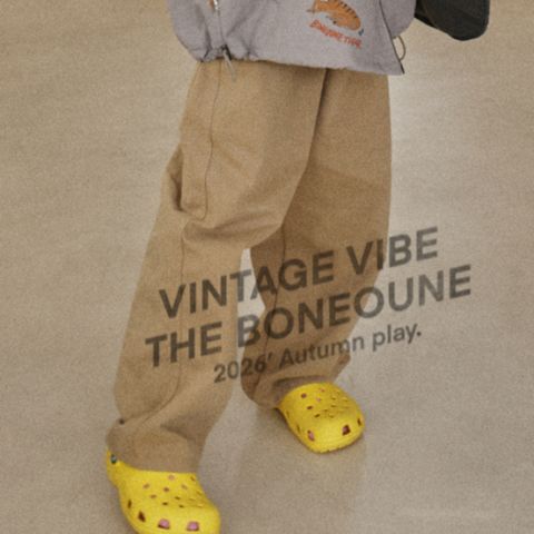 1785813746_1736498466