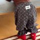 炭灰