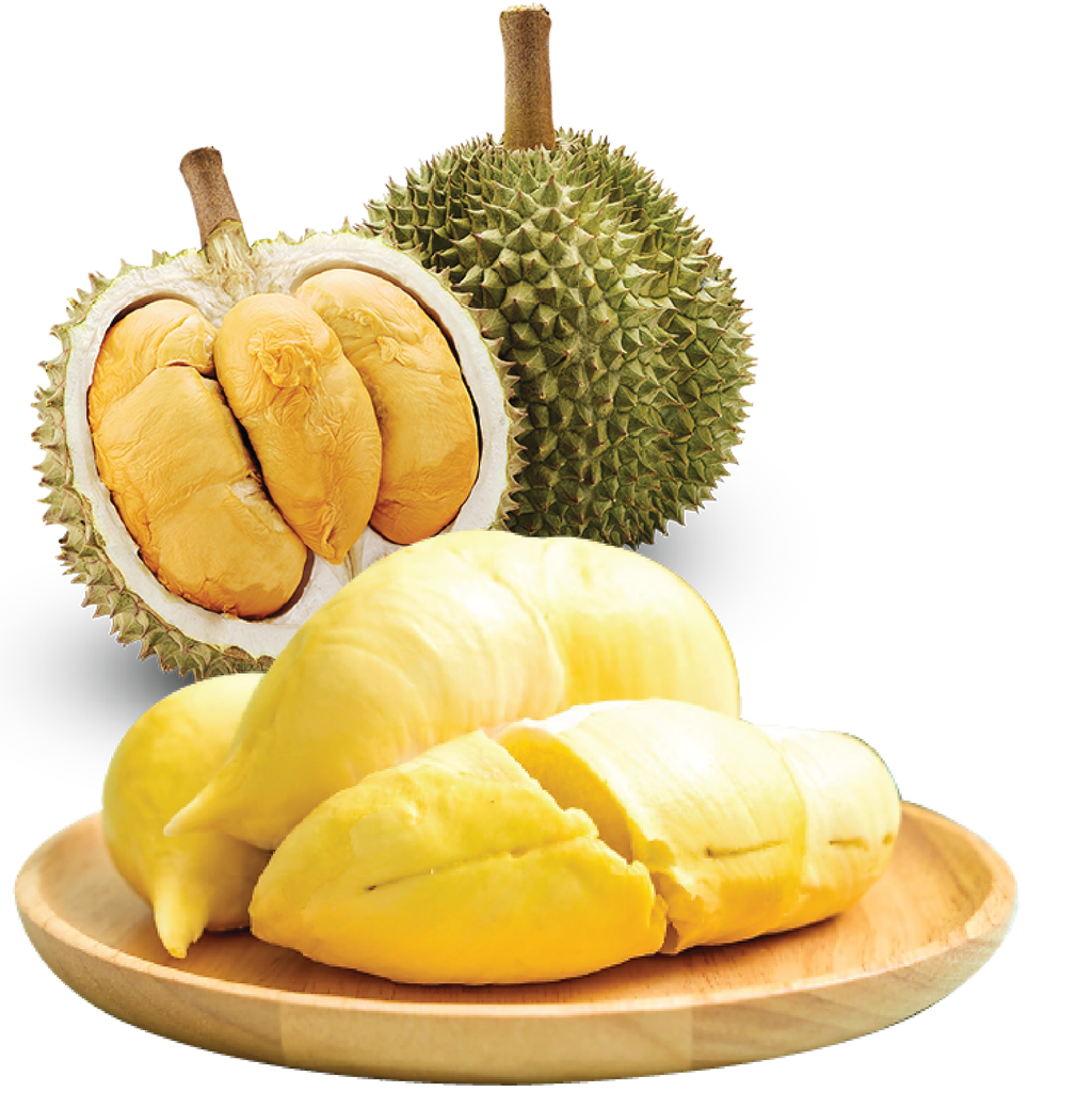 Frozen Durian Pulp-01