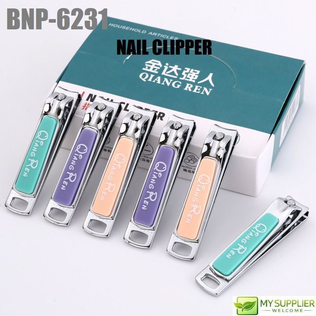 bnp-6231